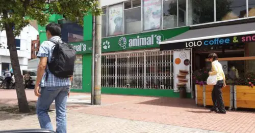 ANIMALS AVENIDA 19 BOGOTÁ ANIMALS AVENIDA 19 BOGOTÁ